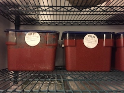Three tubs of pizza sauce on a shelf