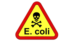 A red and yellow sign with a skull and bones on it and the word E. coli on it